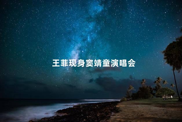 王菲现身窦靖童演唱会
