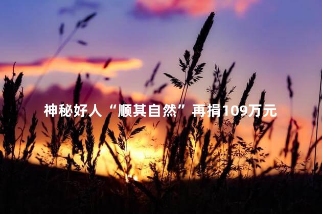 神秘好人“顺其自然”再捐109万元