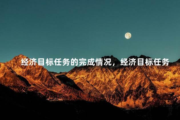 经济目标任务的完成情况，经济目标任务