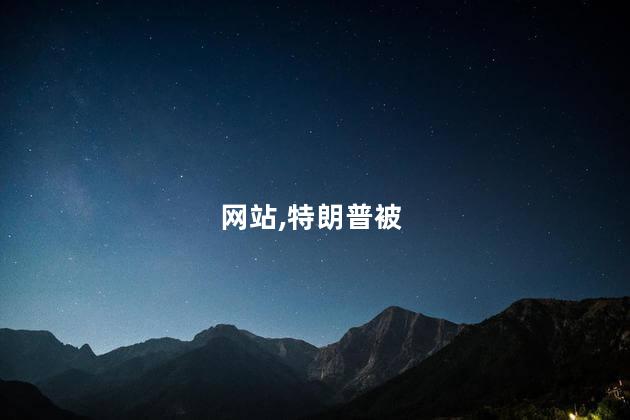 特朗普被定罪后其捐款网站一度崩溃