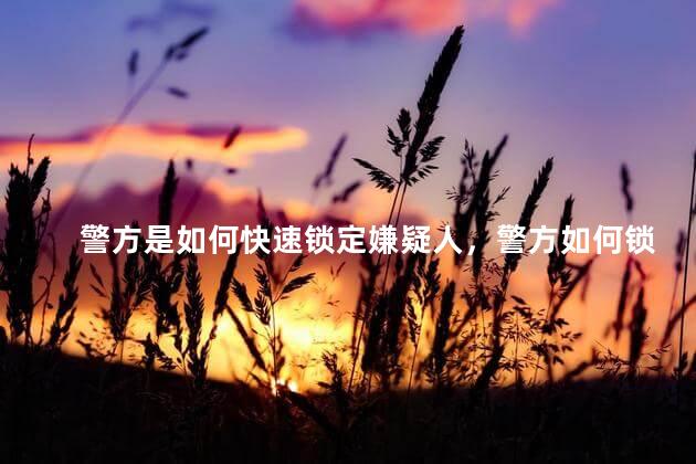 警方是如何快速锁定嫌疑人，警方如何锁定网络诈骗犯