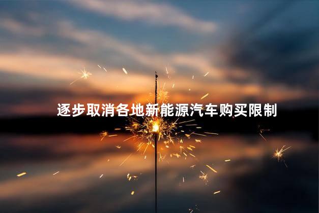 逐步取消各地新能源汽车购买限制