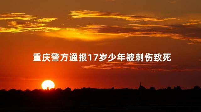 重庆警方通报17岁少年被刺伤致死