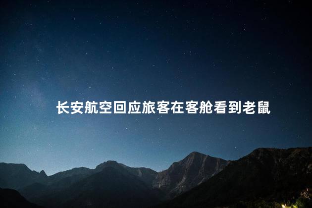 长安航空回应旅客在客舱看到老鼠