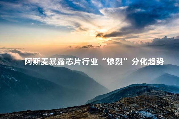 阿斯麦暴露芯片行业“惨烈”分化趋势