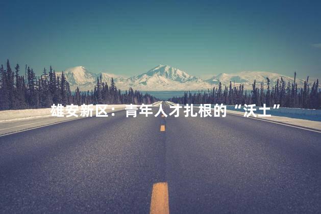 雄安新区：青年人才扎根的“沃土”