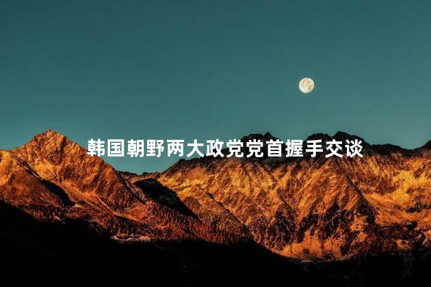 韩国朝野两大政党党首握手交谈