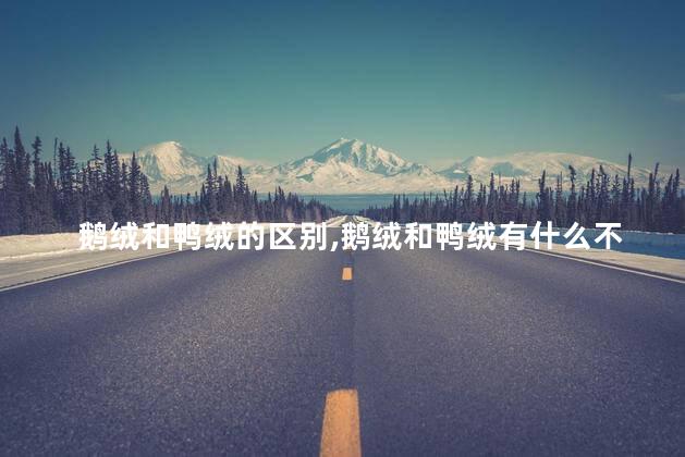 鹅绒和鸭绒的区别，鹅绒和鸭绒有什么不一样