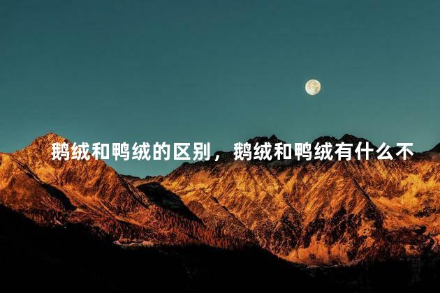 鹅绒和鸭绒的区别，鹅绒和鸭绒有什么不一样