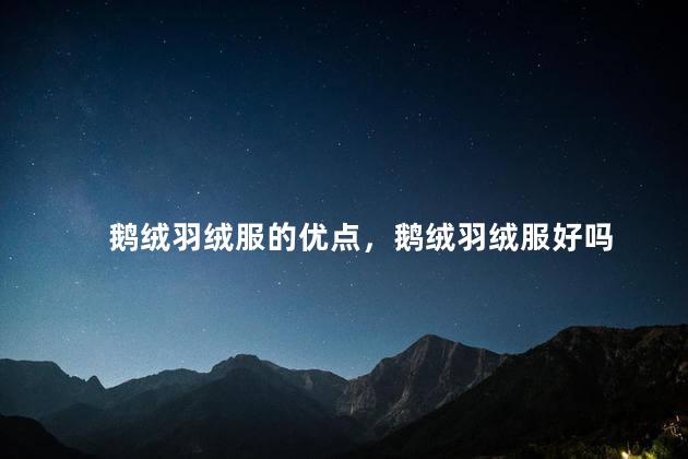 鹅绒羽绒服的优点，鹅绒羽绒服好吗