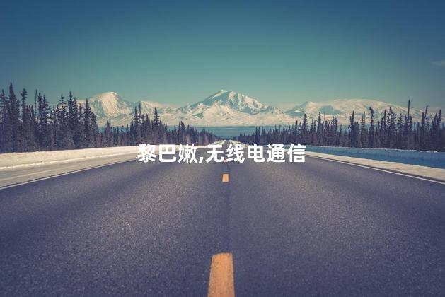 黎巴嫩多地发生无线电通信设备爆炸